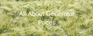 generator prices guide