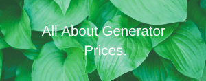 All About Generator Prices.