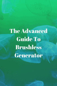 What is a Brushless Generator Head?